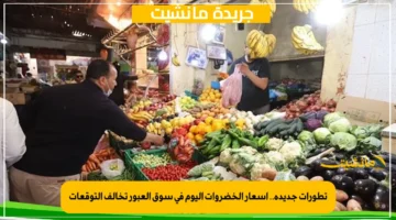 تطورات جديدة.. أسعار الخضروات اليوم في سوق العبور تخالف التوقعات 1